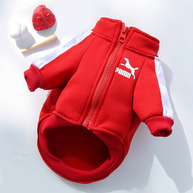Designer Inspired Winter dog Sweatshirt