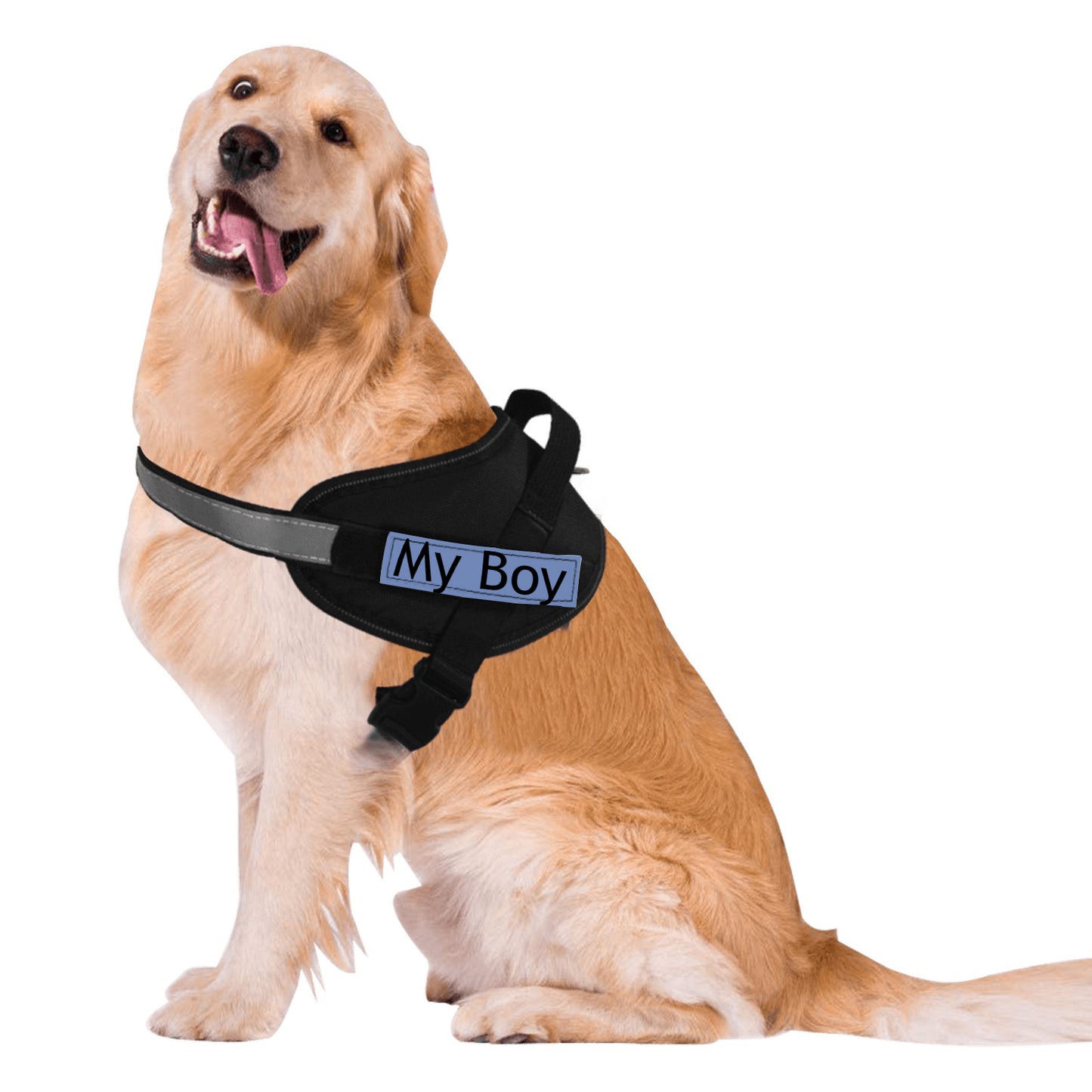 The 'My Boy' Chest Harness and Lead
