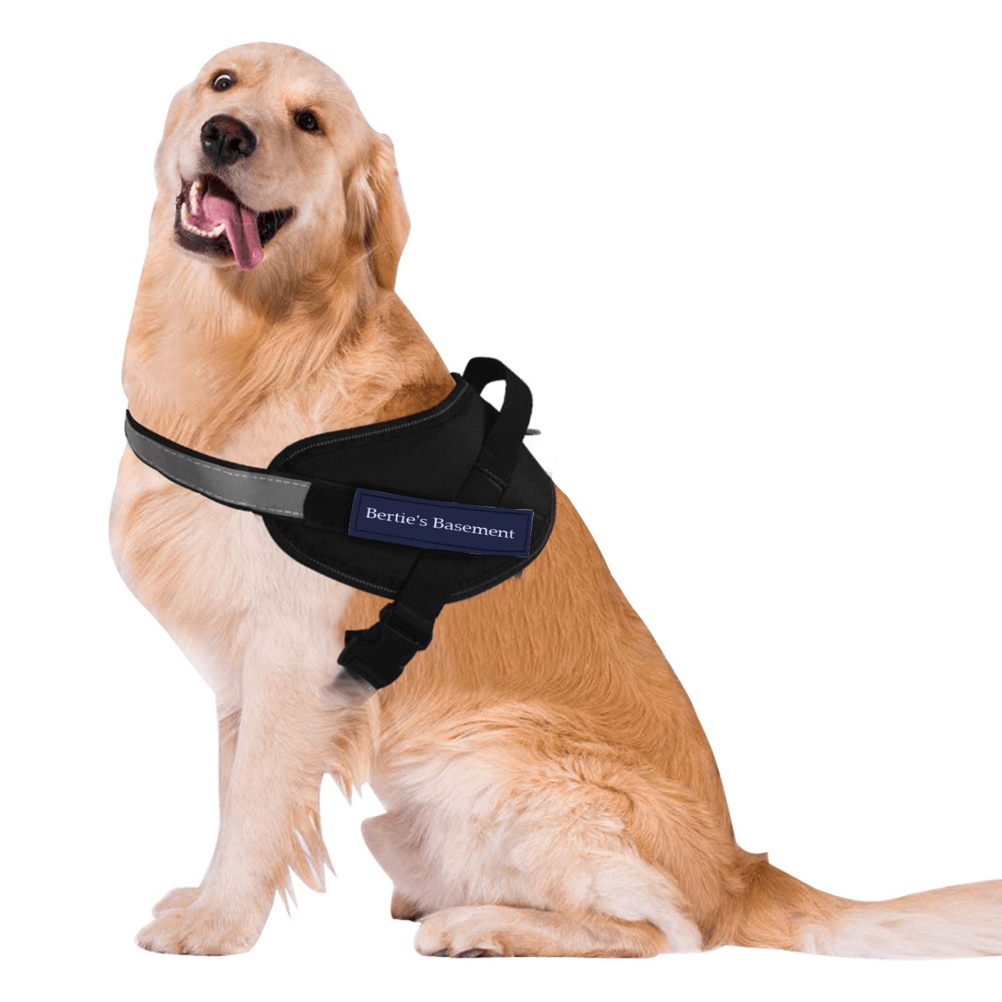 Pet Chest harness and lead (small)