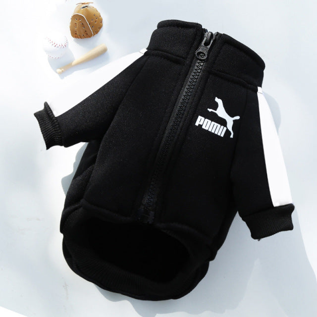 Designer Inspired Winter dog Sweatshirt