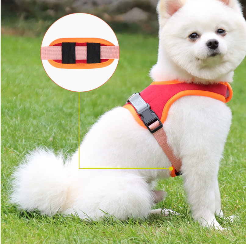 Suede Dog Harness and Leash
