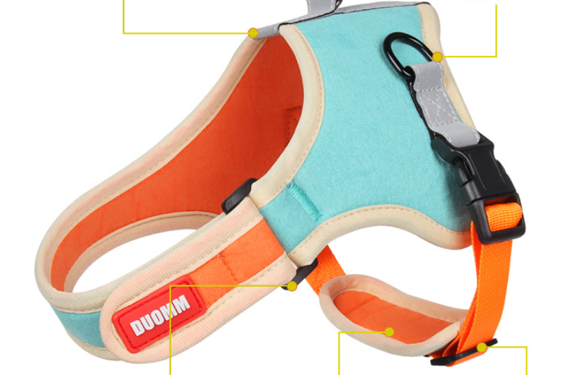 Suede Dog Harness and Leash