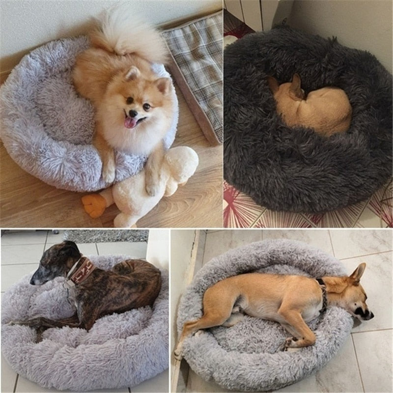 Donut Dog Beds