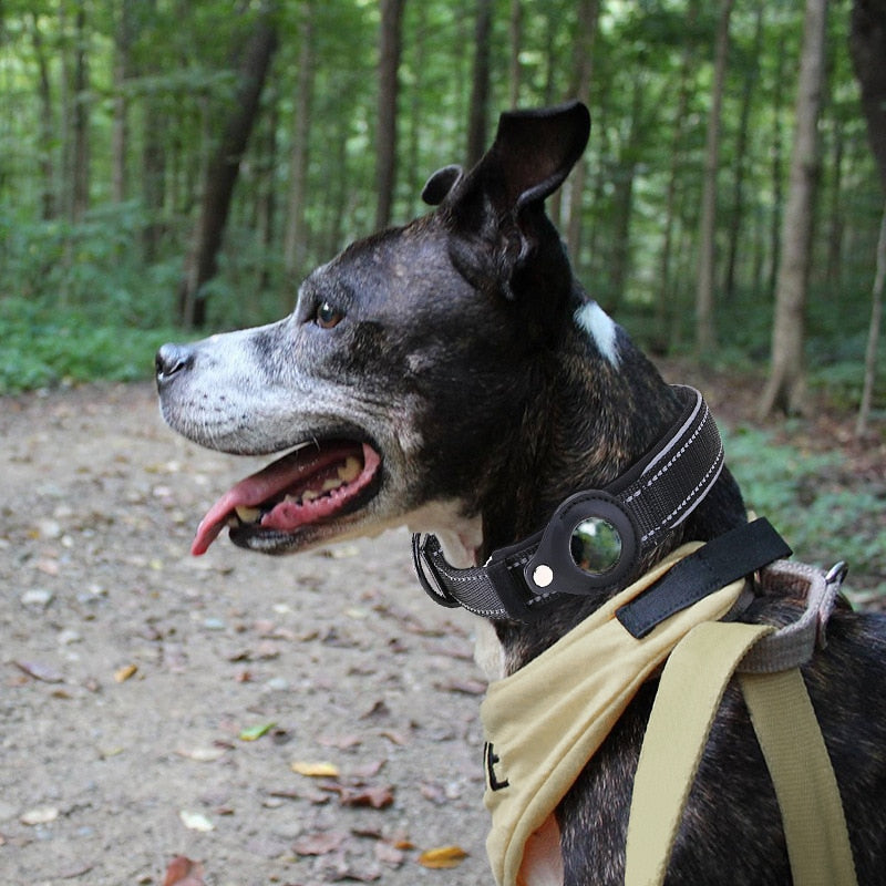 Airtag GPS Dog Collars