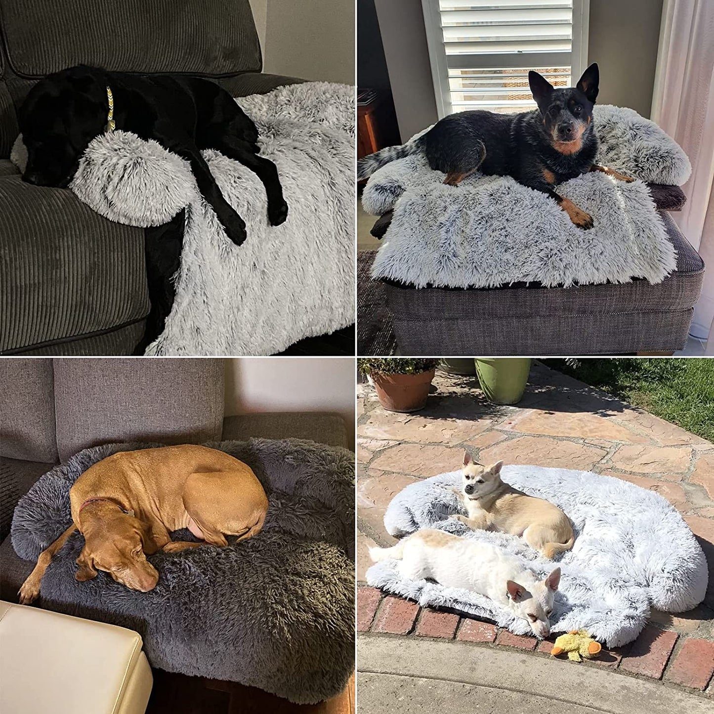 Dog Bed