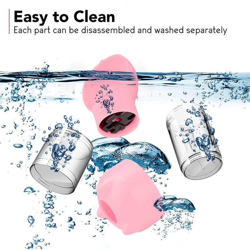 3 in 1 Dog Feeding, Water & Bag Dispense