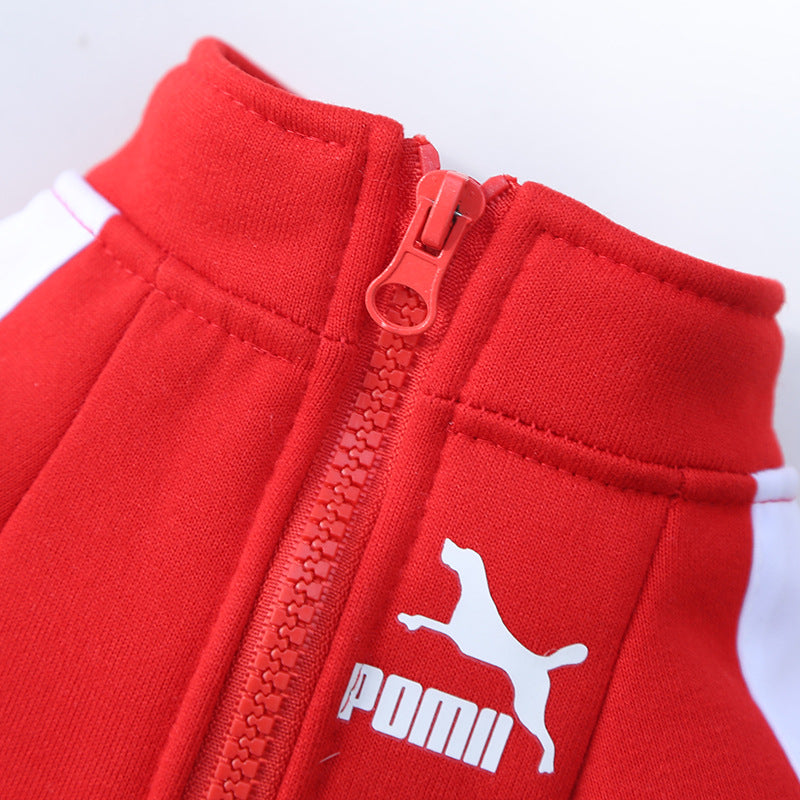 Designer Inspired Winter dog Sweatshirt