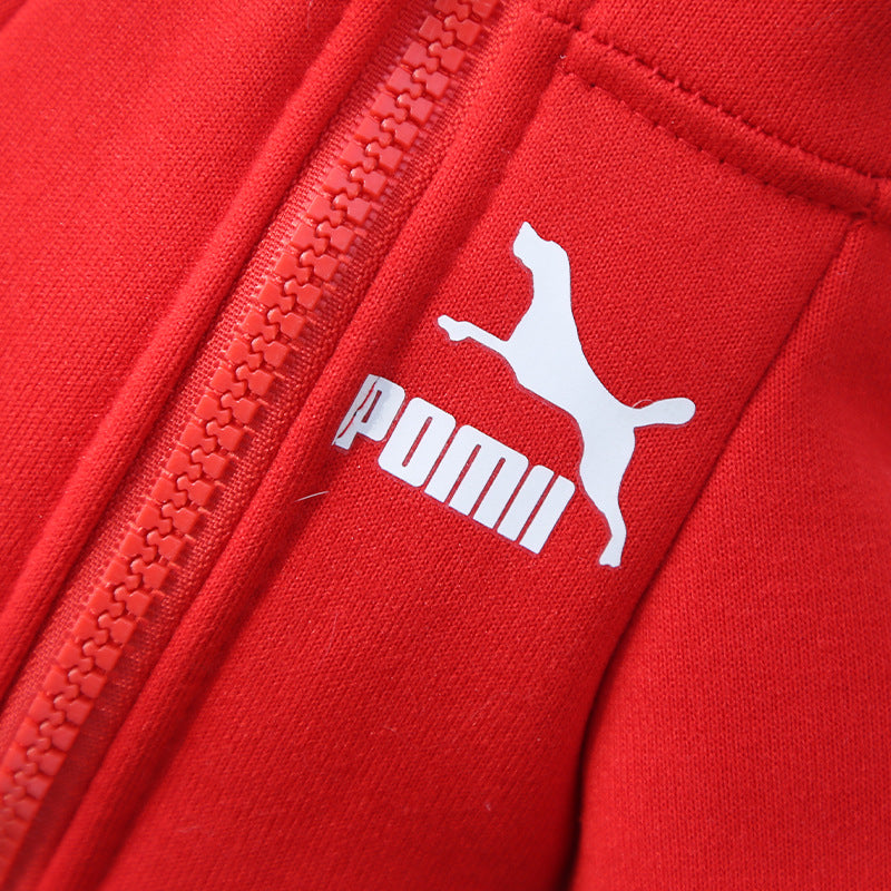 Designer Inspired Winter dog Sweatshirt