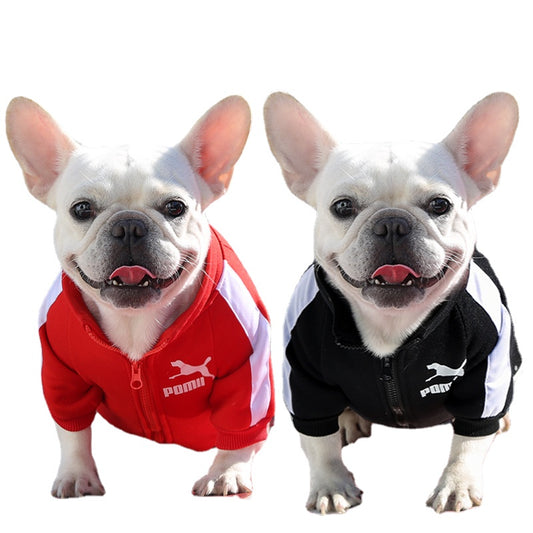 Designer Inspired Winter dog Sweatshirt