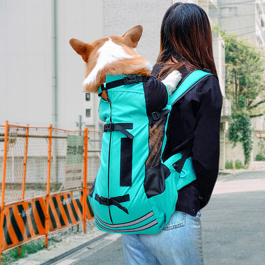 Cat & Dog Backpack Carrier